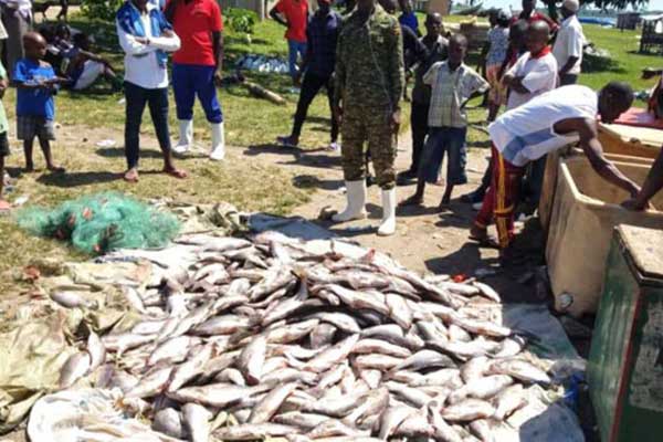 Fishermen protest closure of 8 Kalangala landing sites