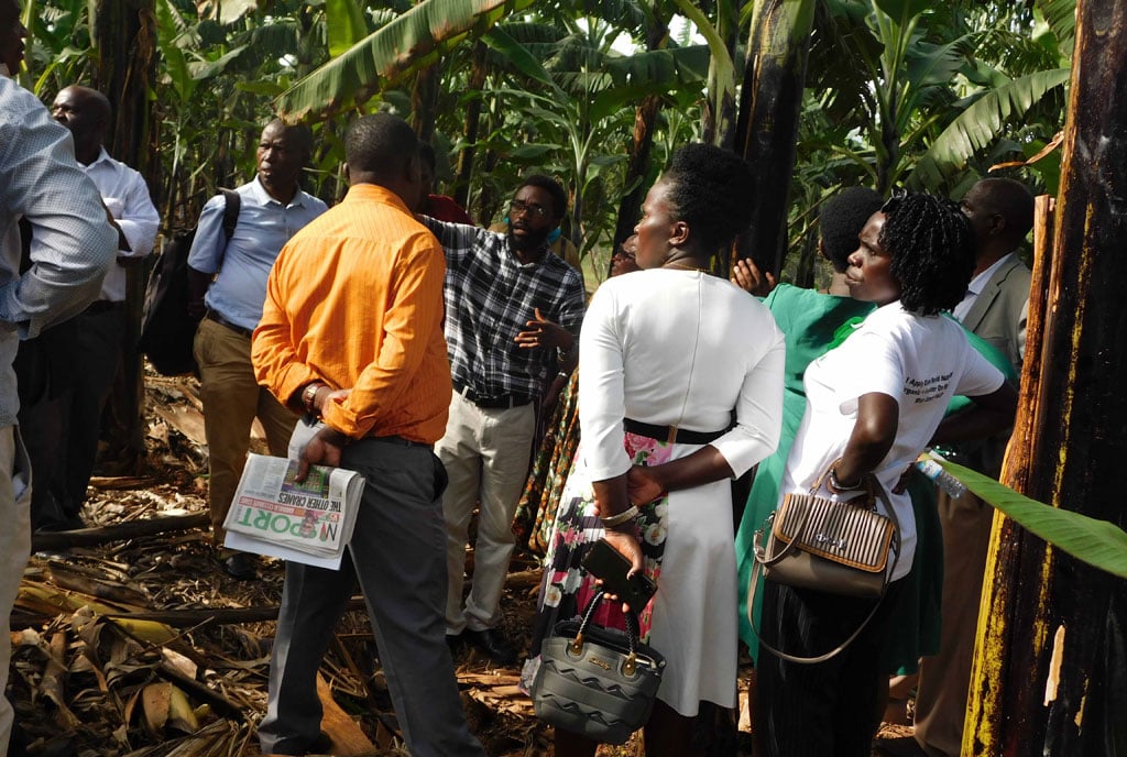 Ugandan farming story of 60 years Monitor