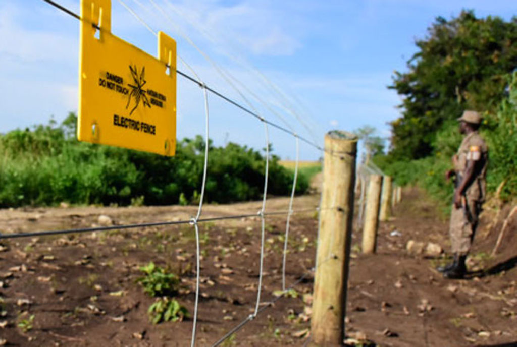 UWA halts Shs5b electric fence work at Murchison Monitor