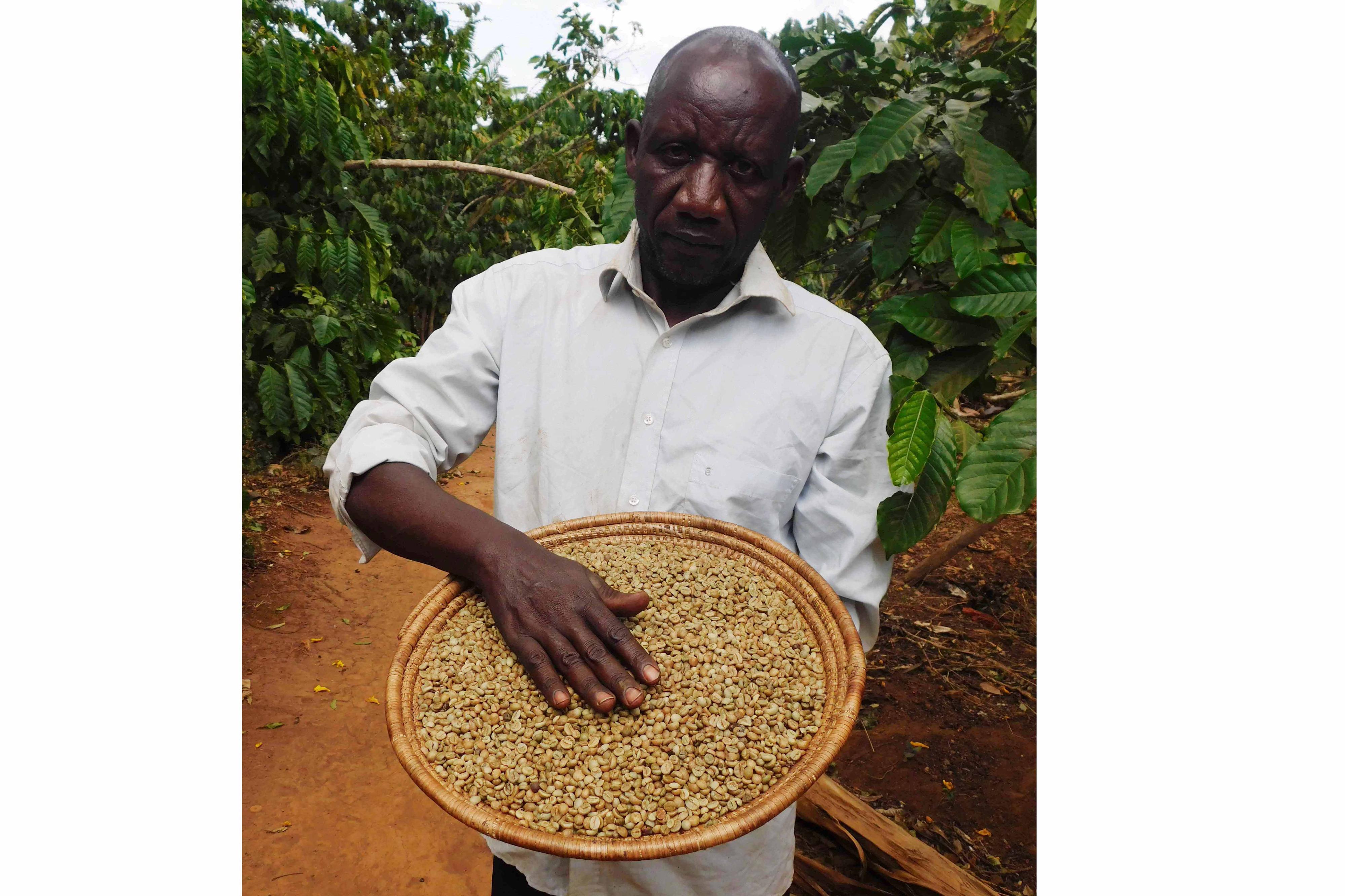 Increasing coffee earnings through value addition Monitor
