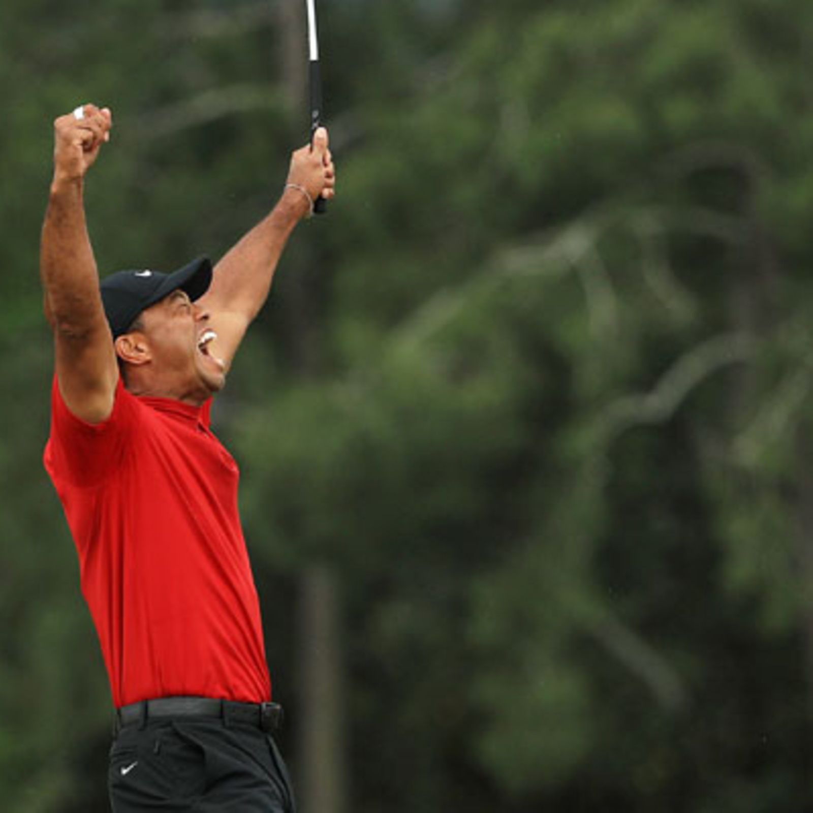 Tiger wins 15th major title with spectacular Masters victory Monitor picture